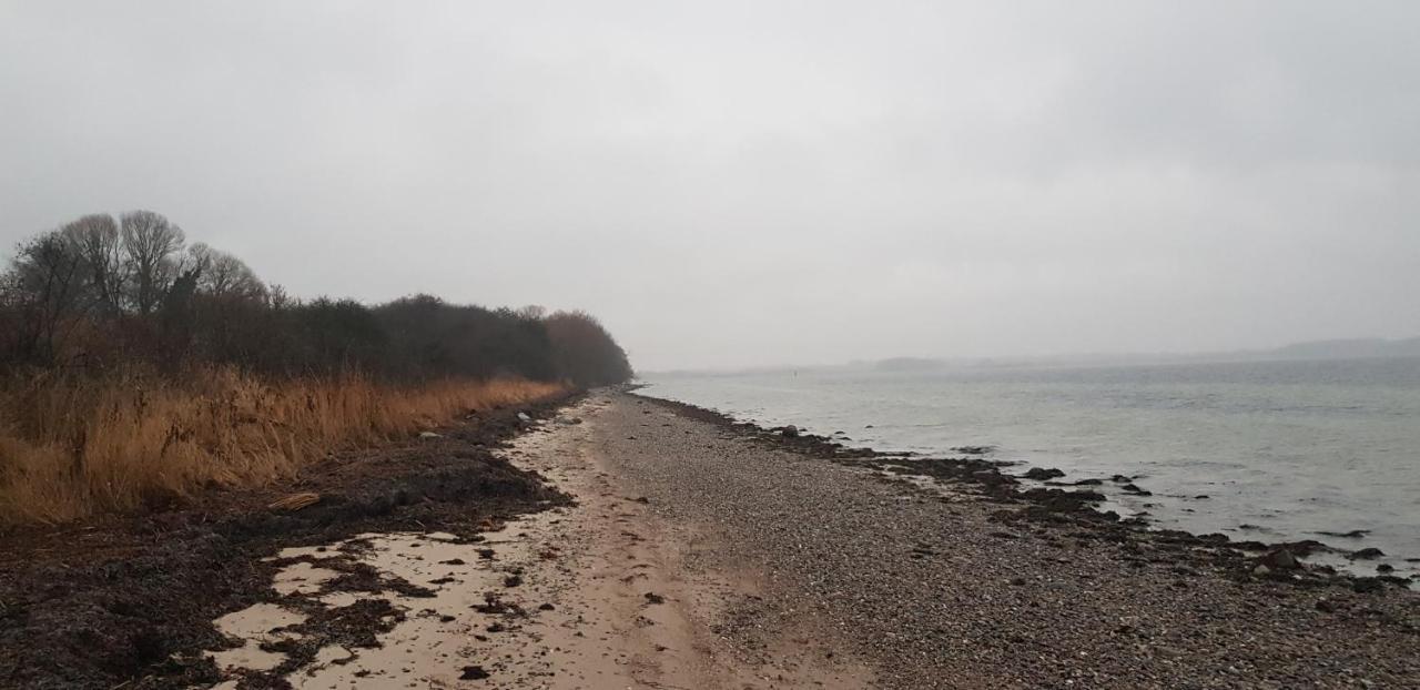 Gemuetliche Ferienunterkunft Direkt Am Meer Holnis ภายนอก รูปภาพ